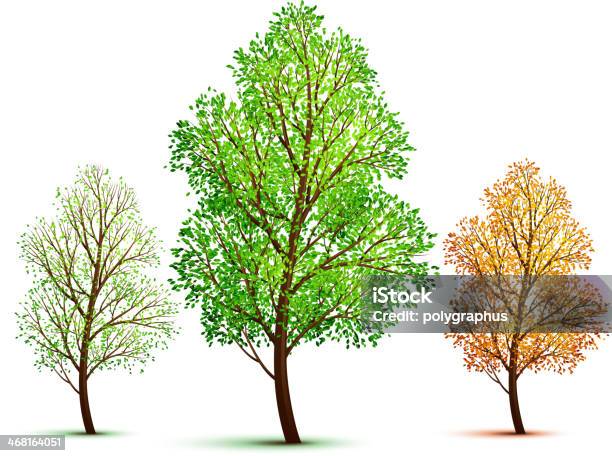 Vector Tree Stock Illustration - Download Image Now - Cut Out, Tree ...