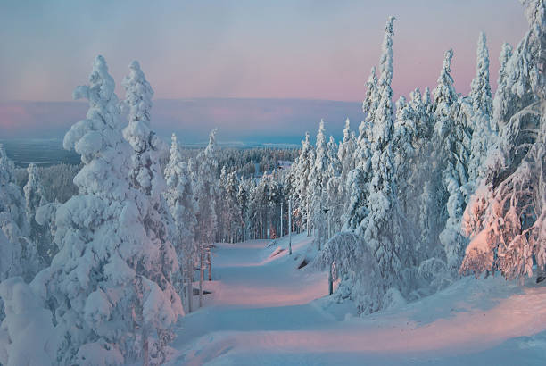 istock trees at sunset in winter 468171595