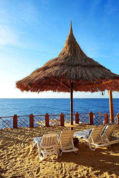 istock Beach at the luxury hotel, Sharm el Sheikh, Egypt 468171599