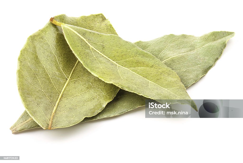 Bay leaves Bay leaves (laurus nobilis) isolated on white Chinese Herbal Medicine Stock Photo