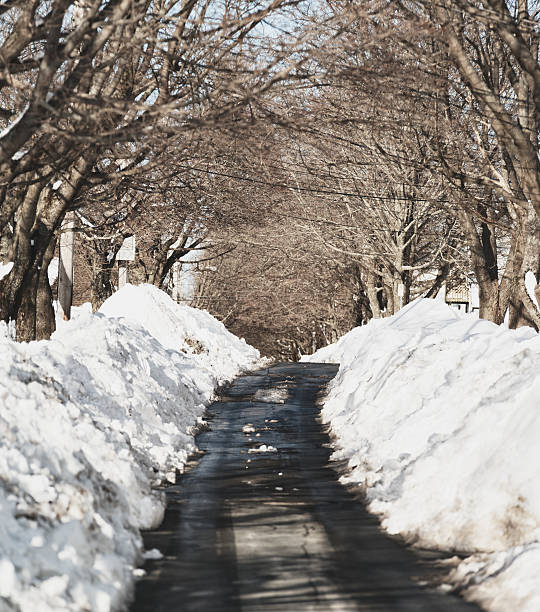 A street is narrowed to just one lane after a massive snowfall.