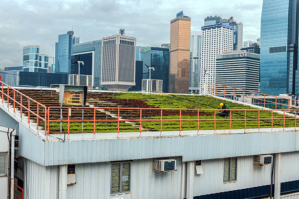 grüne dach und hong kong insel skyline, china, asien - the bank of china tower stock-fotos und bilder