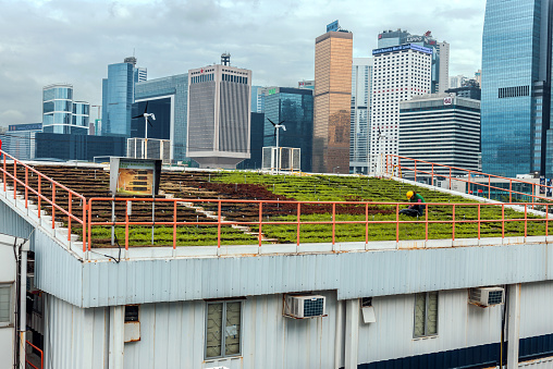  Hong Kong,Hong Kond S.A.R. - May 3, 2014:    Green Roof and Hong Kong Island Skyline, China, Asia Nikon D3x
