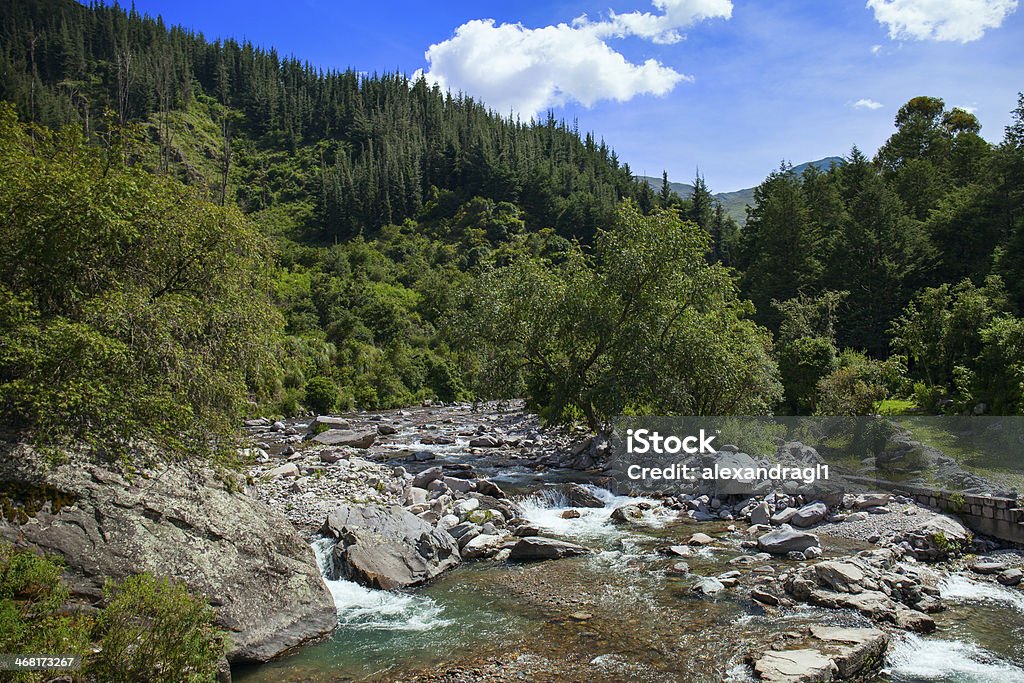 Mountain river of Bolivia Clear mountain river surrounded by a forest in southern Bolivia Tarija Department Stock Photo