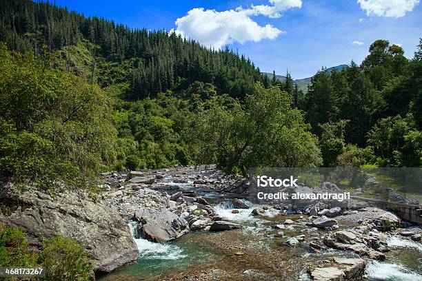 Mountain River Of Bolivia Stock Photo - Download Image Now - Tarija Department, Bolivia, Beauty