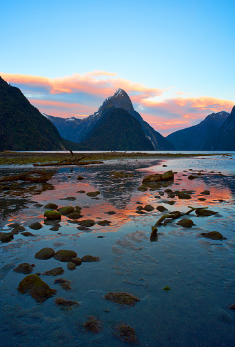Early morning light falls on Mitre Peak in Milford Sound  Early morning light falls on Mitre Peak in Milford Sound  in the Fiordland National Park, one of the geological wonders to be found on New Zealand's South Island. A gentle breeze ruffles the water as the incoming tide begins to cover over the lichen-covered rocks on the foreshore.