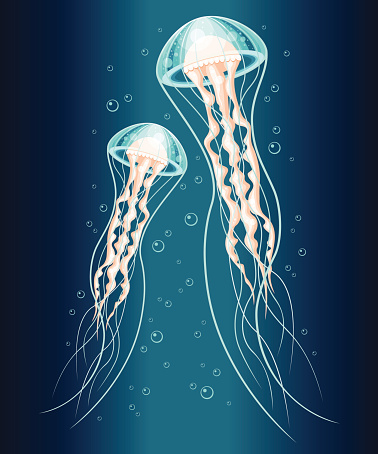 Vector illustration of a pair of blue jellyfishes