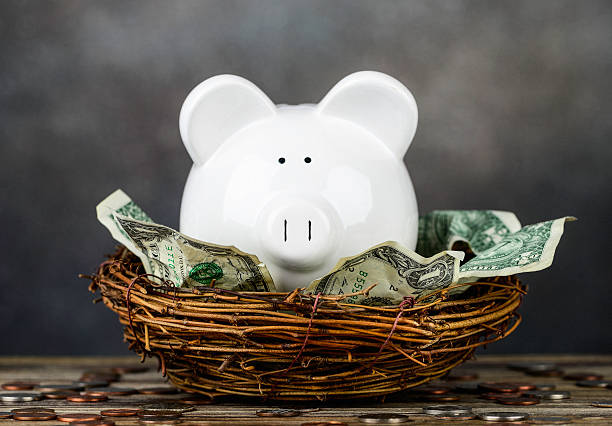 istock Piggy Bank Nurturing his Nest Egg 468178915