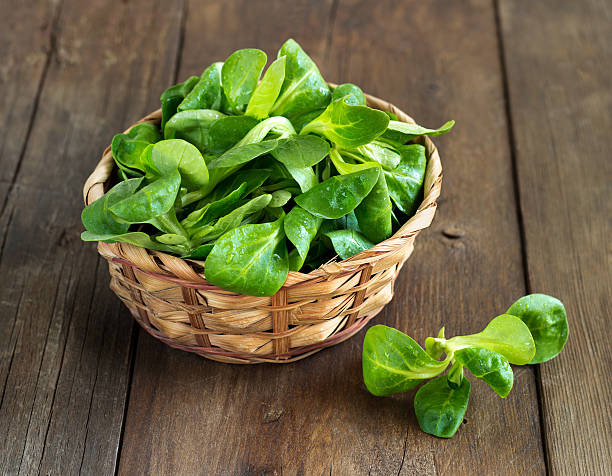 Field salad in a basket on table Field salad in a bowl on the old wooden table corn salad stock pictures, royalty-free photos & images