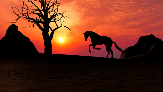 Illustration of a horse running under sunset in the desert