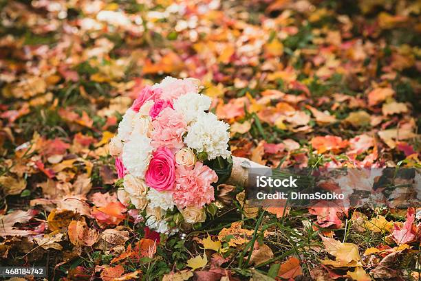 Wedding Bouquet Flowers Stock Photo - Download Image Now - 2015, Adult, Arrangement