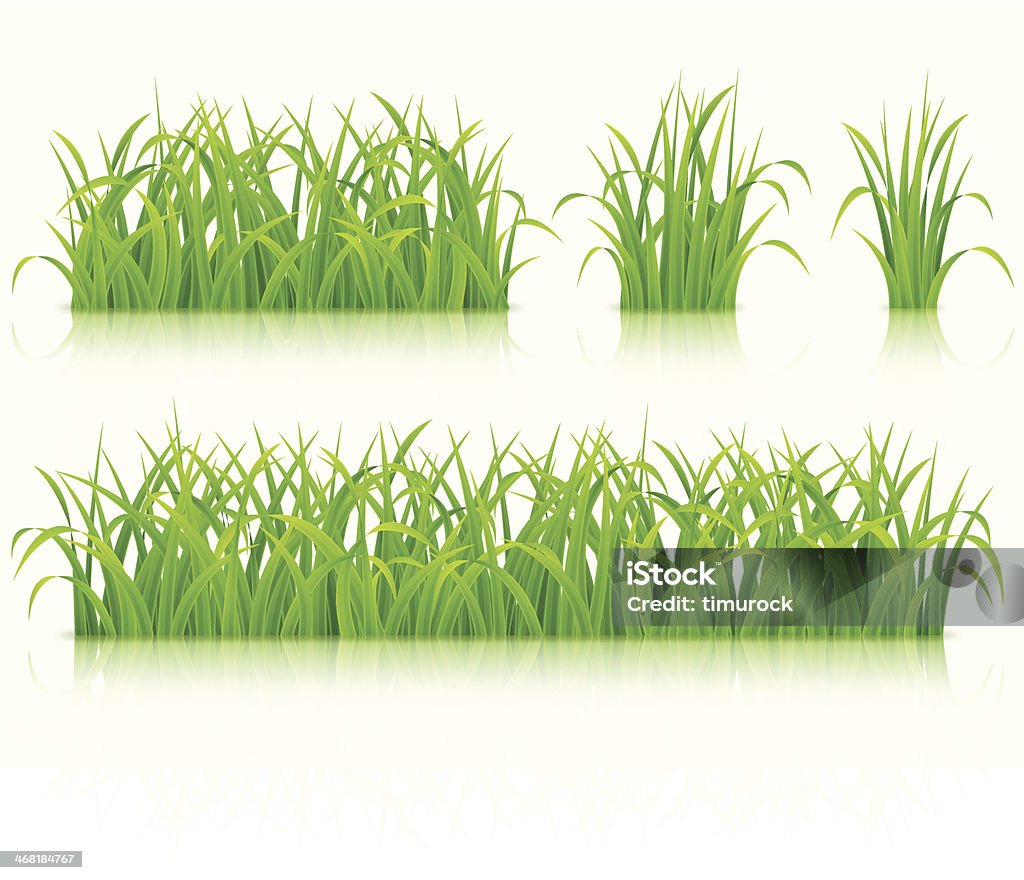 Herbe verte. - clipart vectoriel de Blanc libre de droits