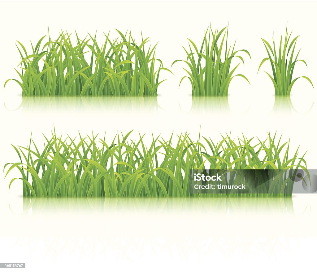 Zielonej trawie. - Grafika wektorowa royalty-free (Bez ludzi)