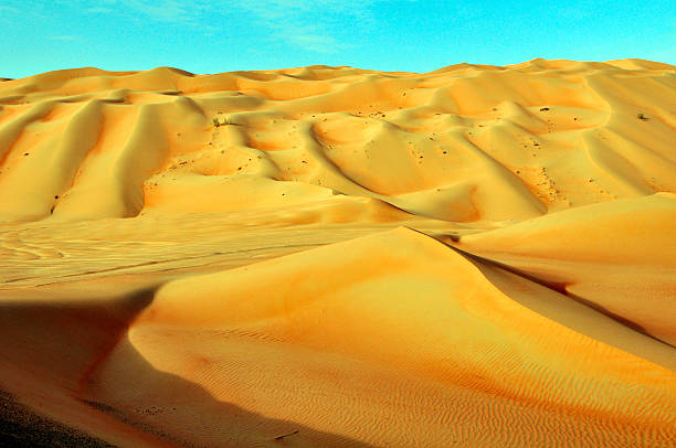 istock Liwa sand dunes &  ripples 468186177