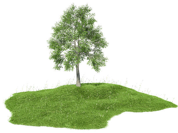 istock 3d rendered illustration of an island with tree floating 468187078