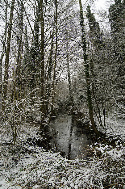 istock Woodland stream with snow 468193638