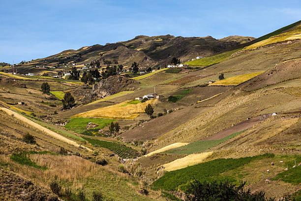 istock Cultivated hillsides around Zumbahua 468196394