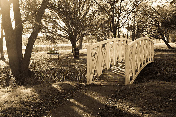 This is a white wooden bridge crossing a stream into the Great Ouse at Huntingdon, Cambridgeshire, England ,  The image is toned to accentuate the look of early winter.