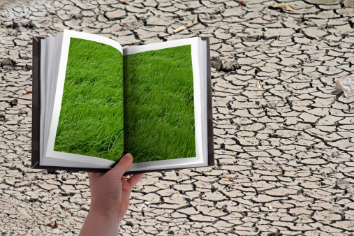 Dry cracked land, Grass in past, Concept