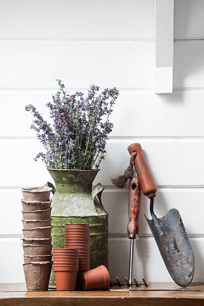 istock gardening still life 468208886