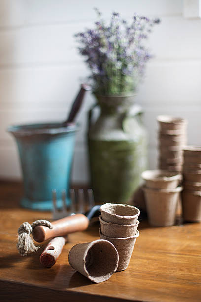 istock gardening still life 468211866