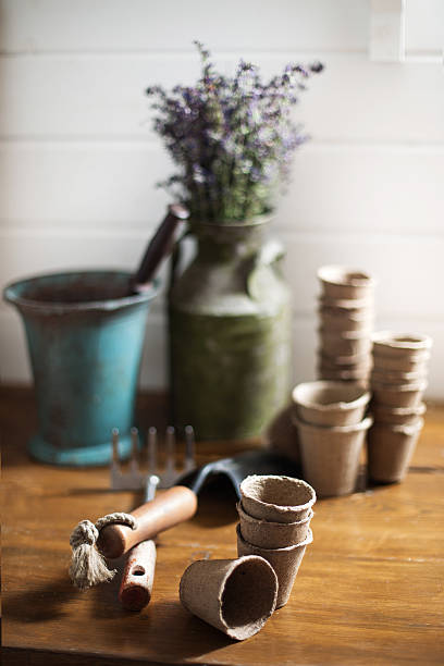 istock gardening still life 468211868