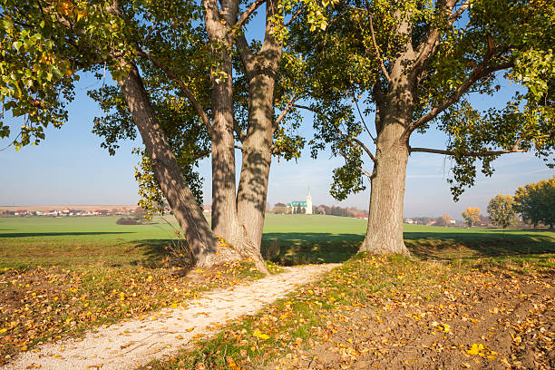 Cart Way 150+ Cartway Stock Photos, Pictures & Royalty-Free Images - iStock