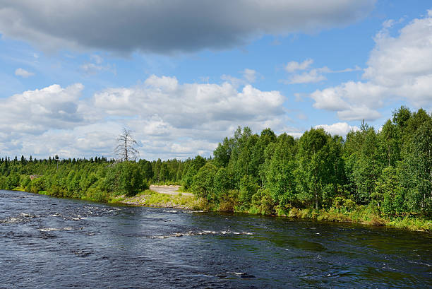 istock Summer northern landscape 468215889
