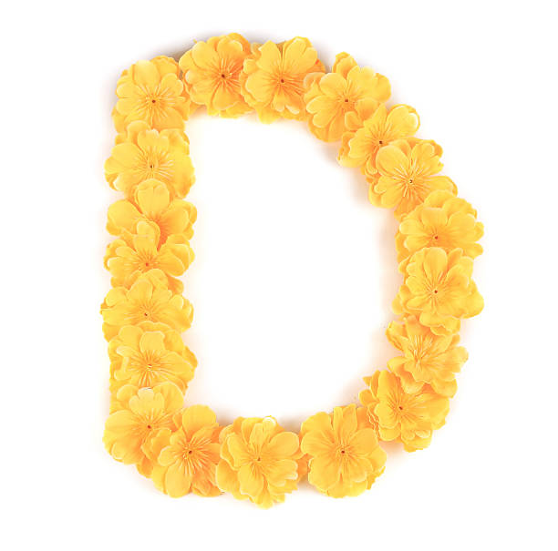 istock Letter D flower alphabet. 468216391