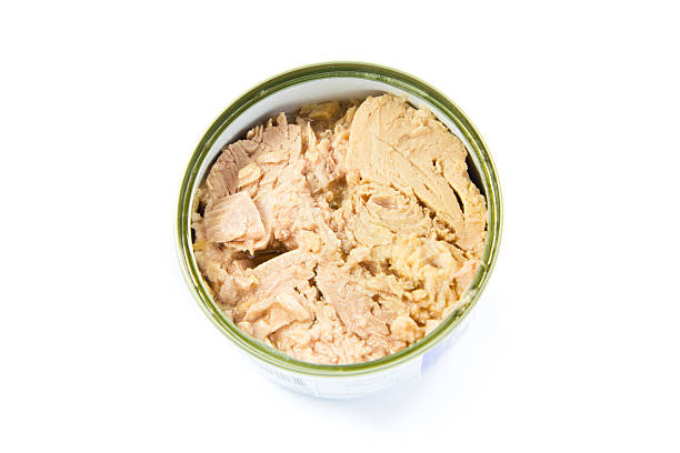 istock close up inside of tuna can 468216693