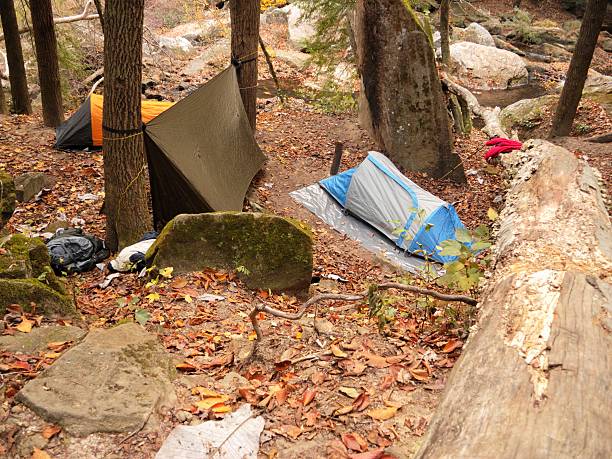 istock Tent and hammock tarp near creek 468216694