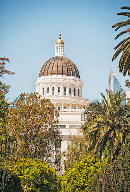 istock Capitol Dome from State Garden 468216988
