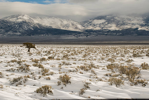 Snowdrifts on Great Basin Landscape near Baker Nevada Snowdrifts on Great Basin Landscape near Baker Nevada great basin national park stock pictures, royalty-free photos & images