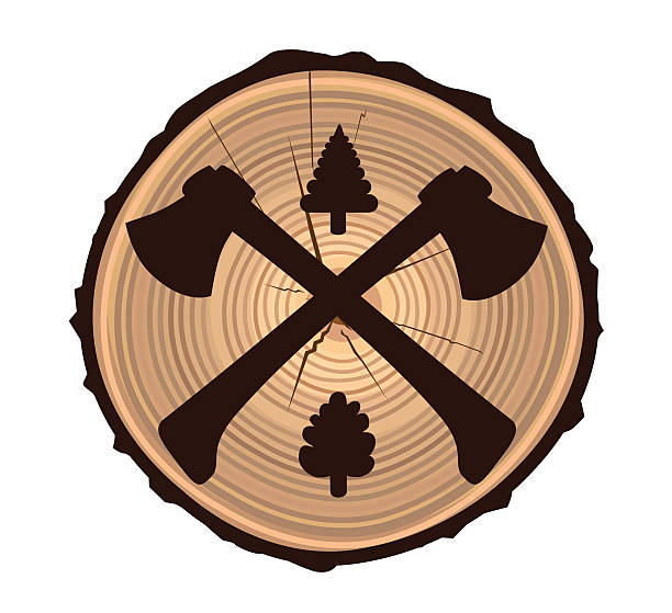 ilustrações de stock, clip art, desenhos animados e ícones de fábrica de serra - wood lumber industry tree ring wood grain