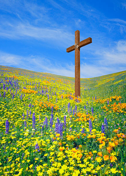cruz de madeira com mola wildflowers - cross shape religion sky wood imagens e fotografias de stock