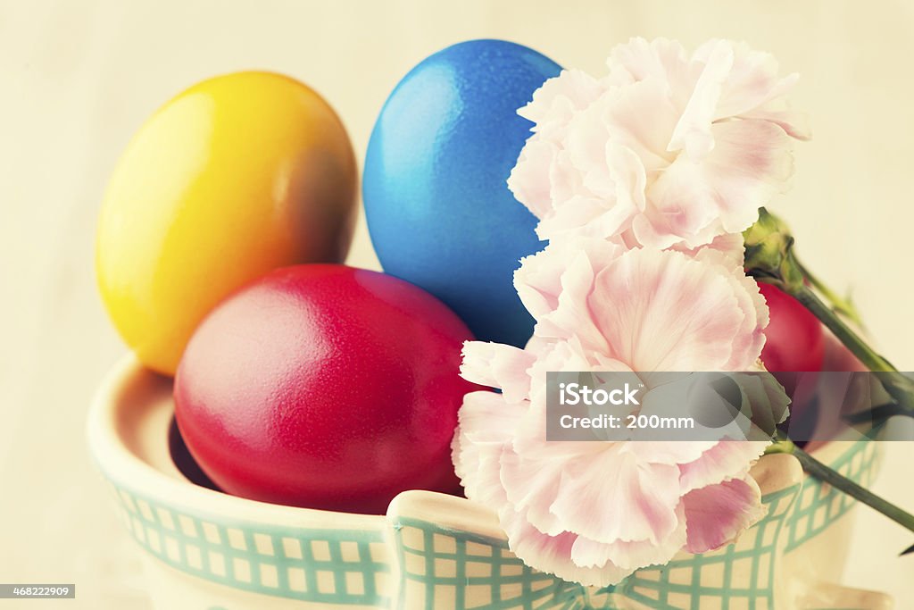 Easter Eggs Animal Egg Stock Photo