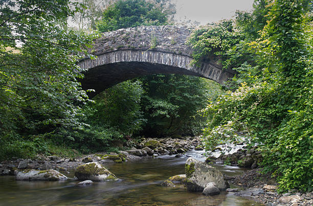 istock Stony stream in woodland with bridge 468232184