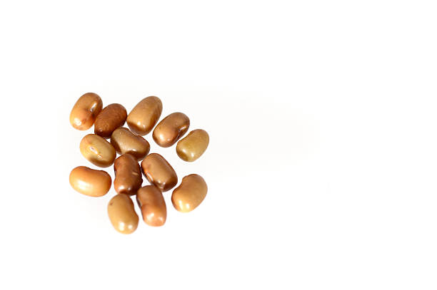 istock Closeup Of Moth Beans, Indian name Matki 468238500