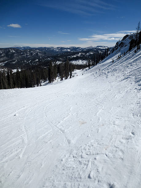 istock Long ski run leading to mountains at Wolf Creek 468238584