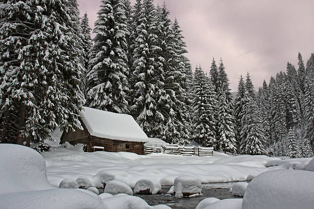 zimowy krajobraz - winter lake snow water zdjęcia i obrazy z banku zdjęć