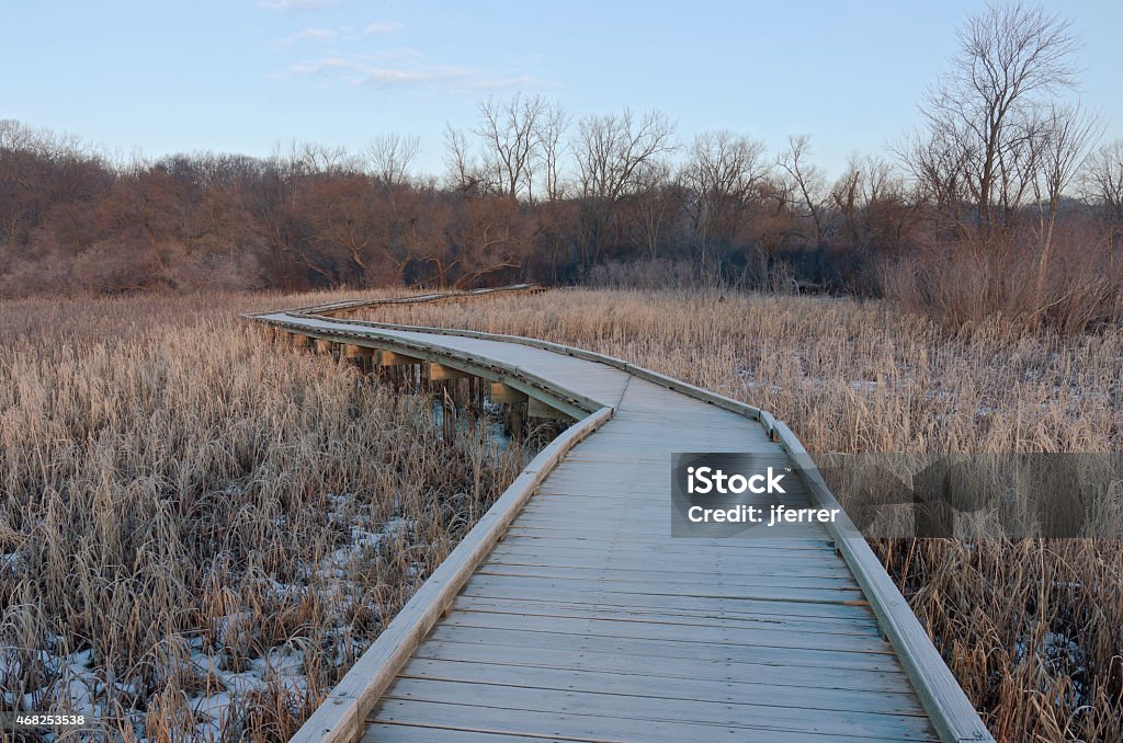 Boardwalk Wetlands and Forest at Refuge Boardwalk crossing wetlands and into forest of minnesota valley wildlife refuge in bloomington Marsh Stock Photo