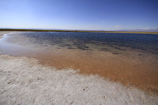 istock Laguna Cejar, Atacama, Chile 468254172
