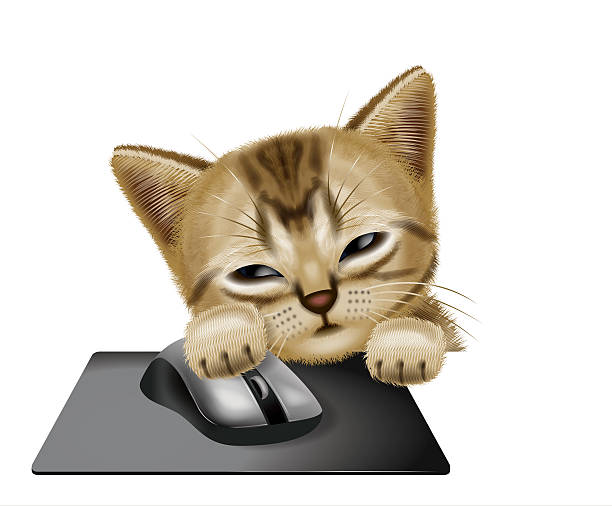 illustrations, cliparts, dessins animés et icônes de chat à poils ras - mouse computer mouse pets white background