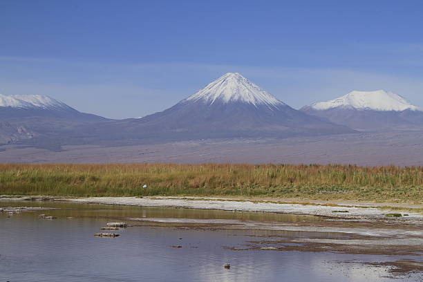 istock Laguna Cejar, Atacama, Chile 468257760