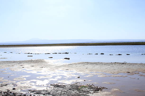 istock Laguna Cejar, Atacama, Chile 468260208