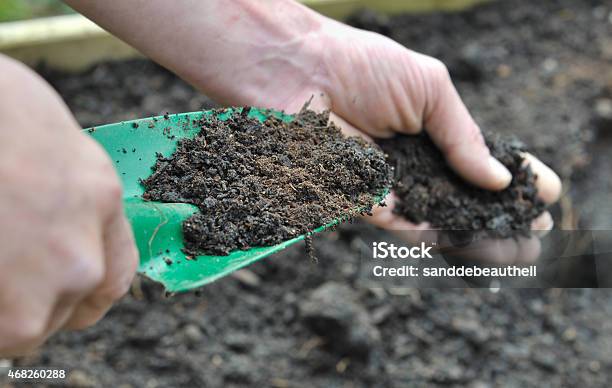 Gardner Composting Soil In Garden Stock Photo - Download Image Now - 2015, Adult, Agriculture