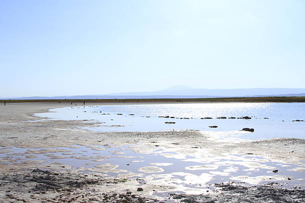 istock Laguna Cejar, Atacama, Chile 468263826