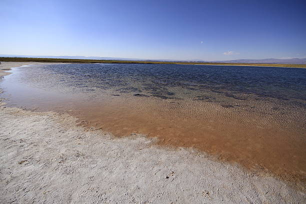 istock Laguna Cejar, Atacama, Chile 468263902