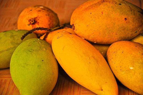 primer plano maduro mango frutas, tailandia - scented asia asian culture bunch fotografías e imágenes de stock