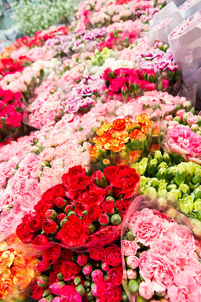 istock bunch of colorful flowers 468264118